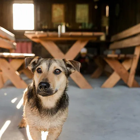 Apartament Szept Oberlandu - Boutique, Luxury In Liva Park *