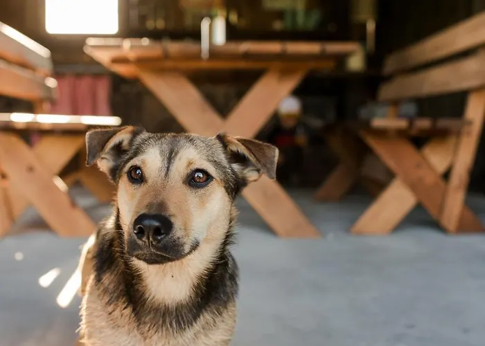 Apartament Szept Oberlandu - Boutique, Luxury In Liva Park *